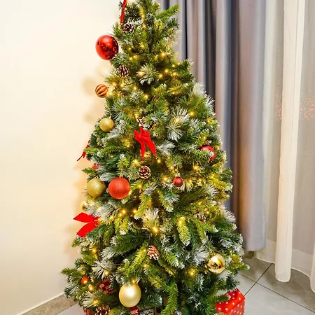 Apartment Ideal Center *