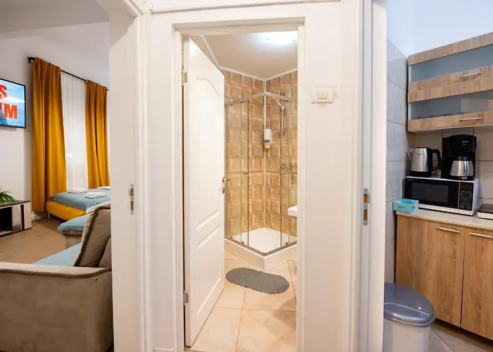 Apartament Ideal Center *