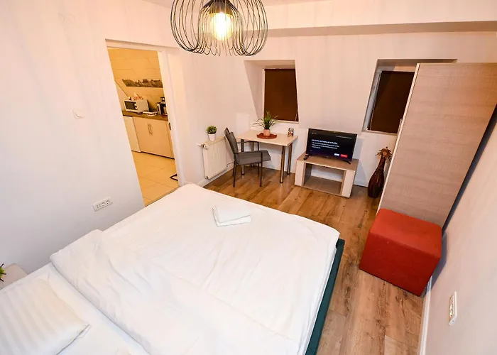 Apartament Ideal Center